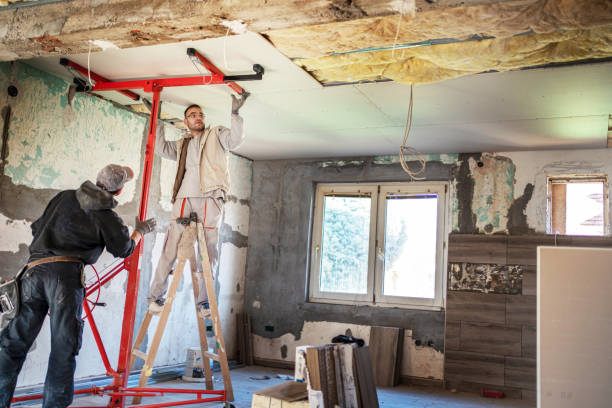 Best Cellulose Insulation in Ellwood City, PA
